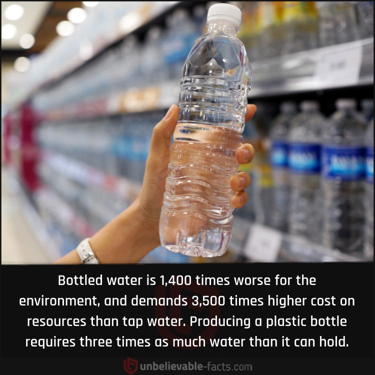 Environmental Cost of Bottled Water