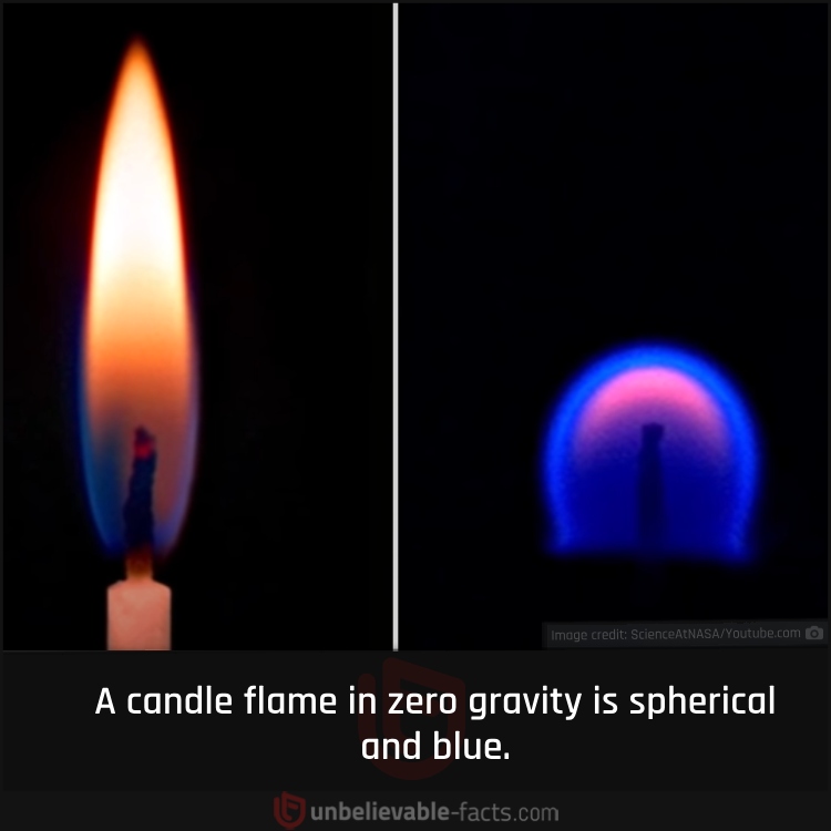 Fire Isn’t the Same Without Gravity