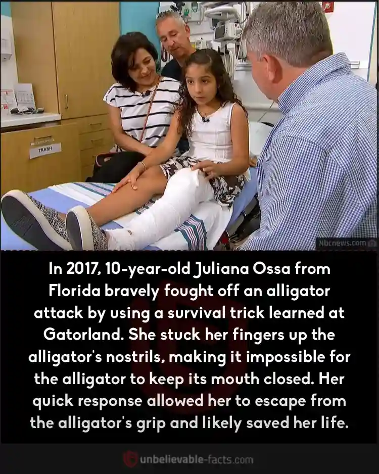 Florida girl escapes alligator