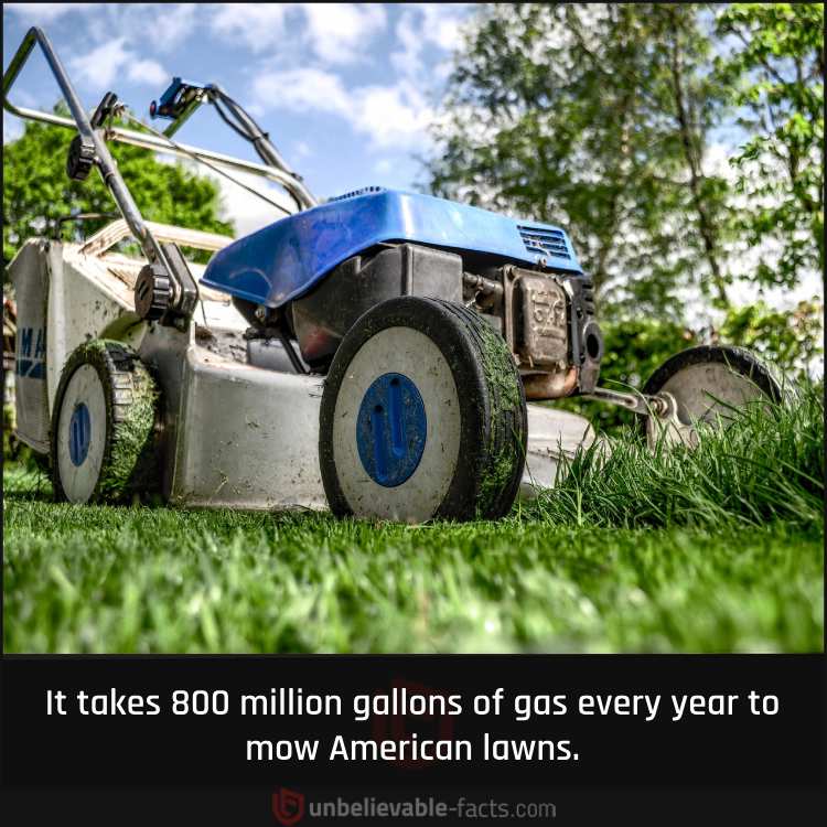 Gas Requirements to Mow American Lawns