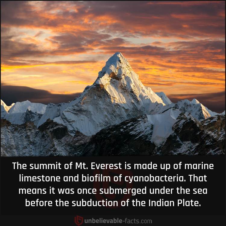 Geology of Mt. Everest Summit