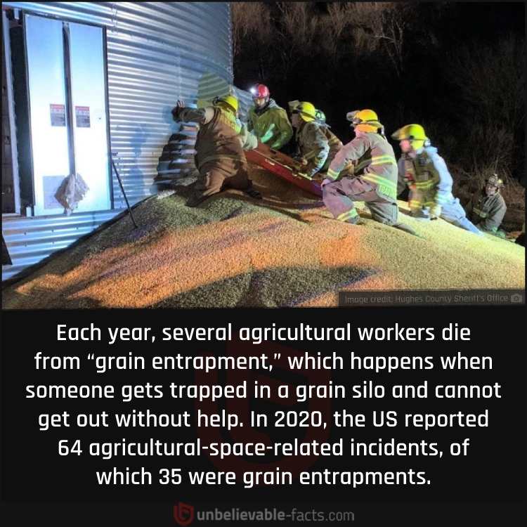 Grain entrapment