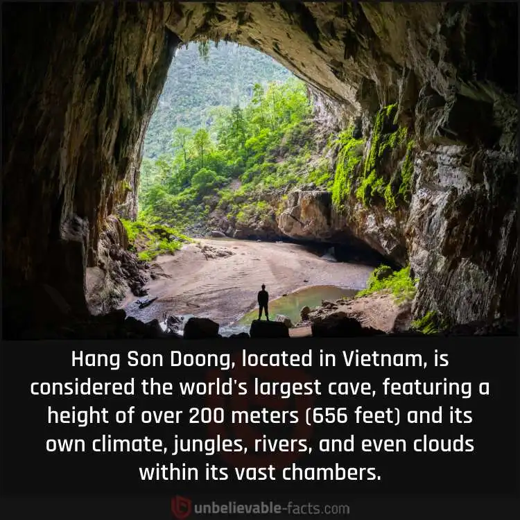 Hang Son Doong Is the World's Largest Cave