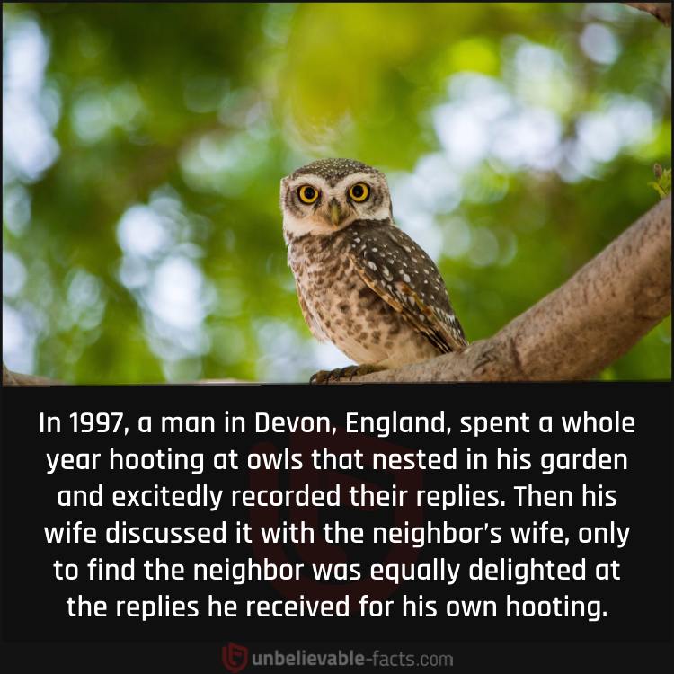 The Devon Man Who Hooted At Owls