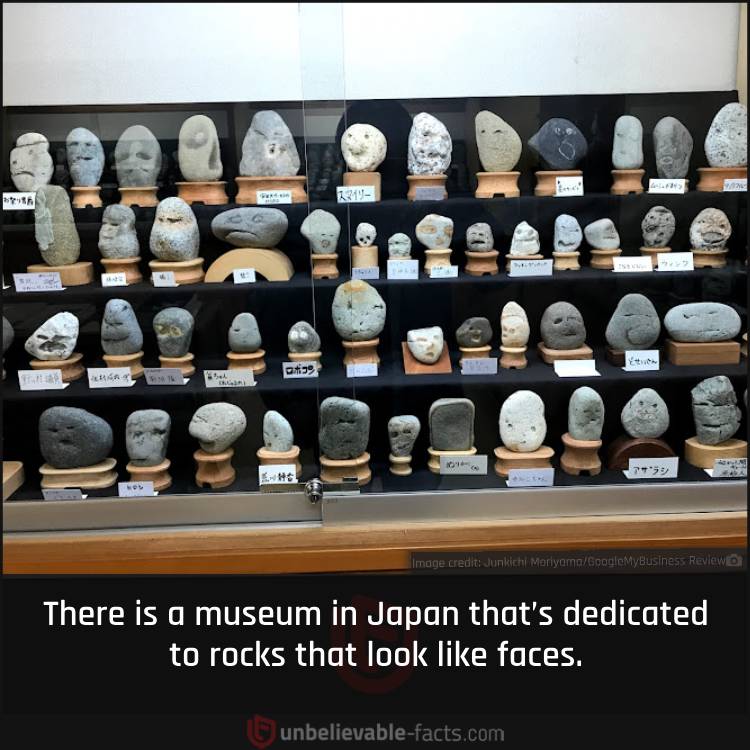 Japan’s Museum for Rock Faces 