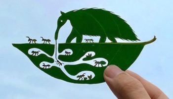 Picture Japanese Artist Creates Stunning Leaf Art to Cope with ADHD