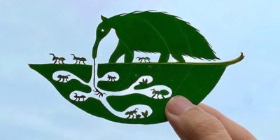 Picture Japanese Artist Creates Stunning Leaf Art to Cope with ADHD