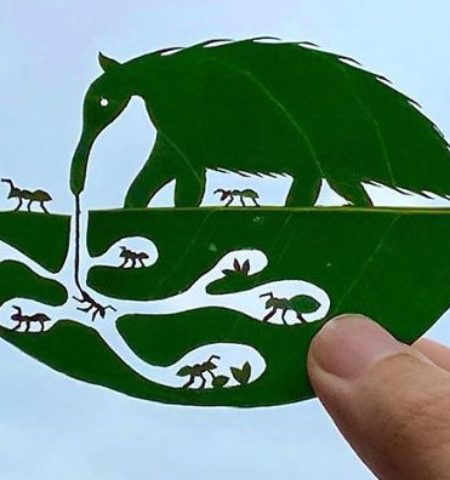 Picture Japanese Artist Creates Stunning Leaf Art to Cope with ADHD