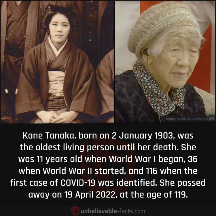 Kane Tanaka