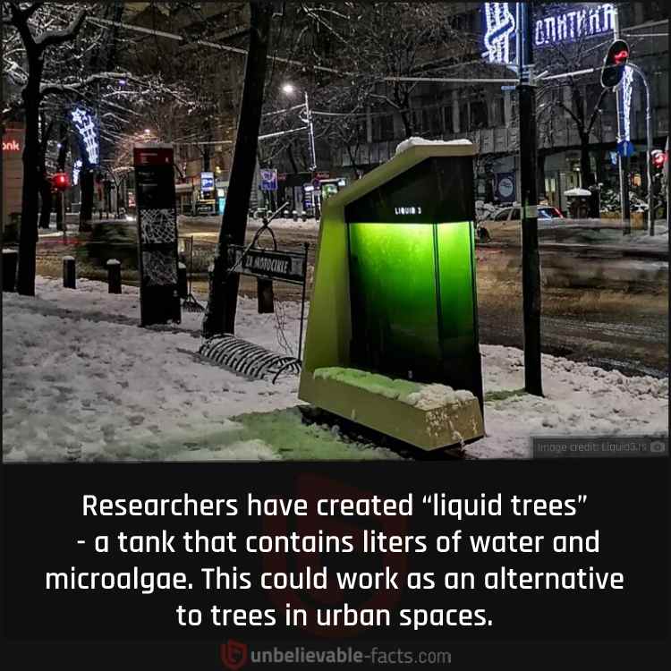 Liquid Trees