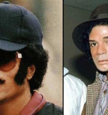 Picture Michael Jackson’s Love for Disguise: How He Used it to Maintain Privacy and Enjoy Public Life