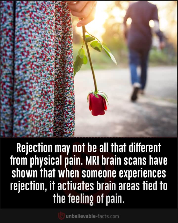 MRI scan about pain