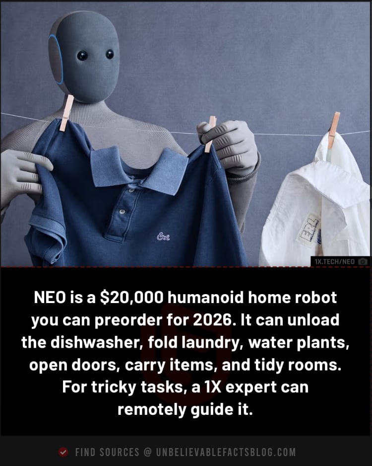 NEO: $20k home humanoid, chores via AI and remote help.