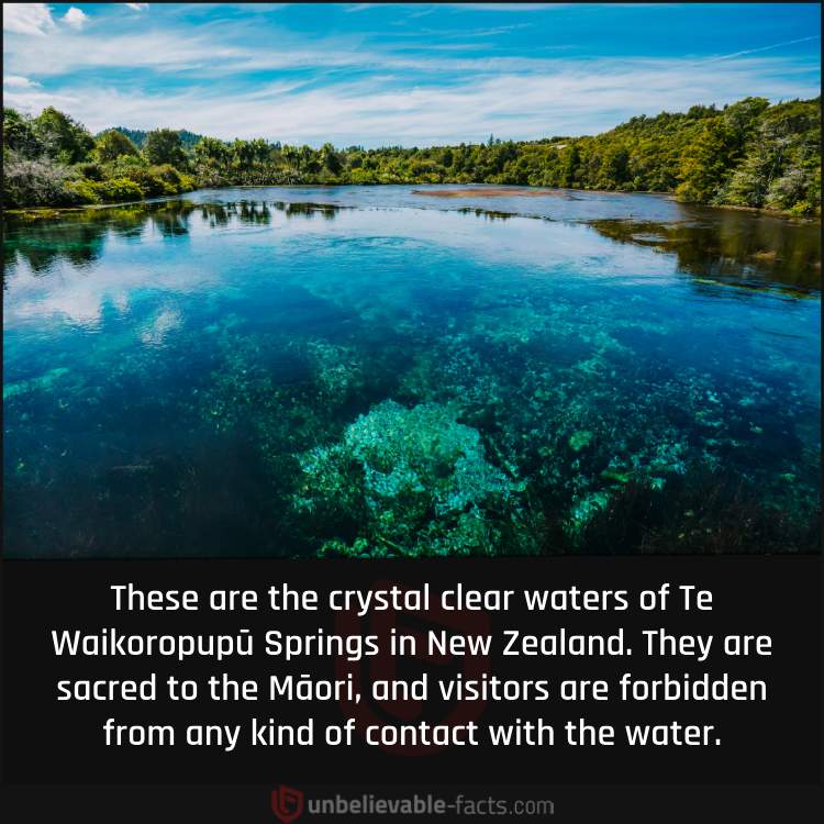New Zealand’s Crystal Clear Springs