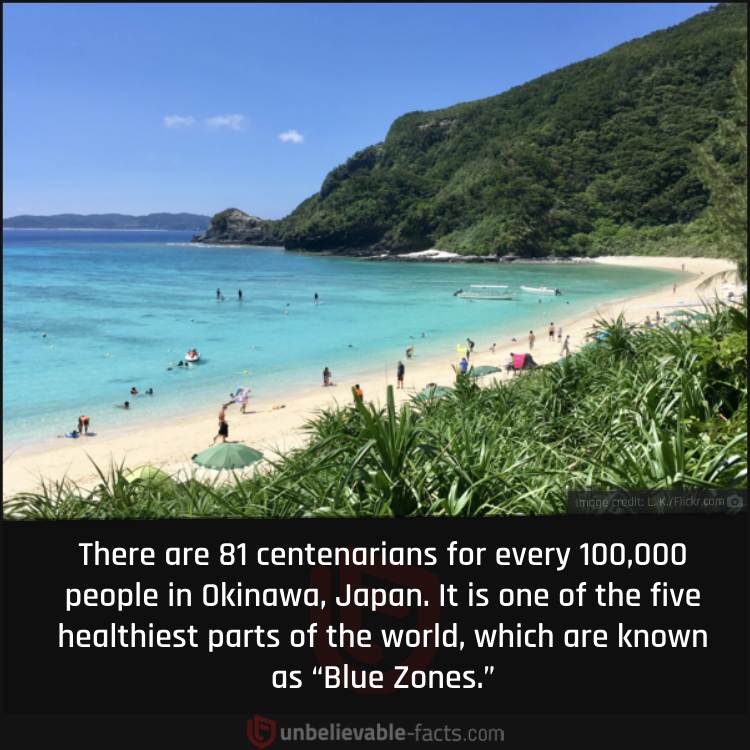 Okinawa’s Centenarians