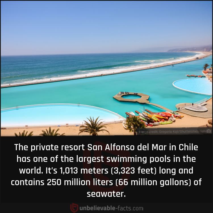 One of the Largest Swimming Pools in the World
