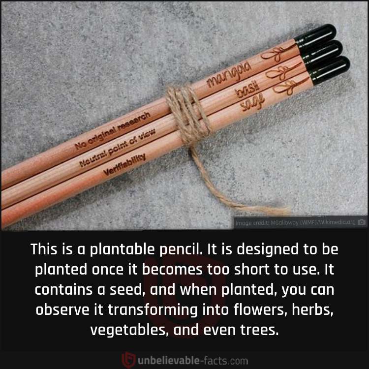Pencils That Aren't Just for Writing but for Growing