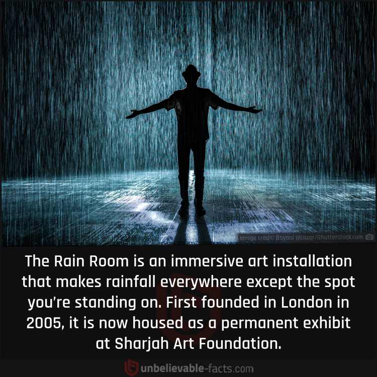 Rain Room Art Installation