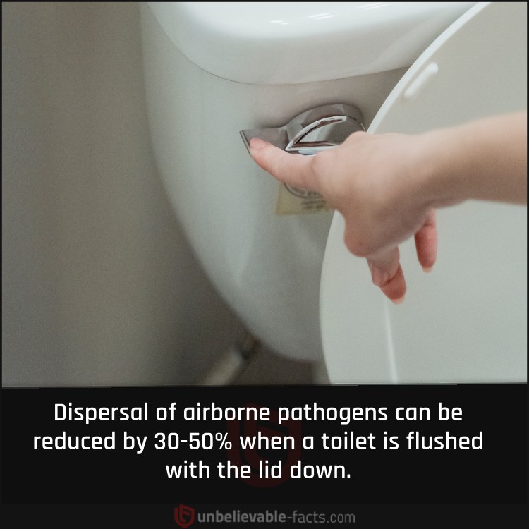 Reducing Airborne Pathogens After Flushing a Toilet