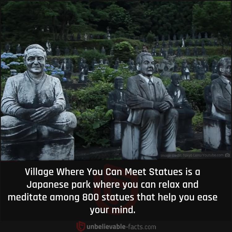 Relaxing Japanese Park with 800 Statues