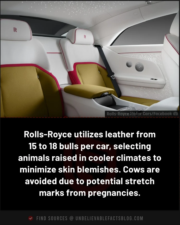 Rolls-Royce uses 15-18 bull hides per car interior.