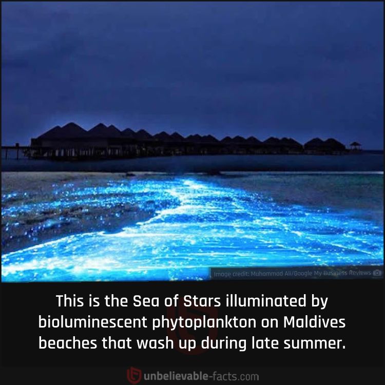 Maldives’ Sea of Stars
