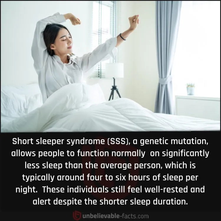 What is the Short Sleeper Syndrome?