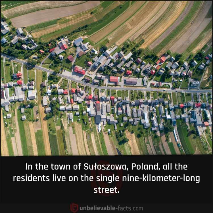 Single Street Polish Town
