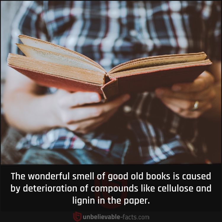 Smell of Good Old Books