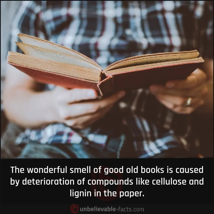 Smell of Good Old Books Smell of Good Old Books
