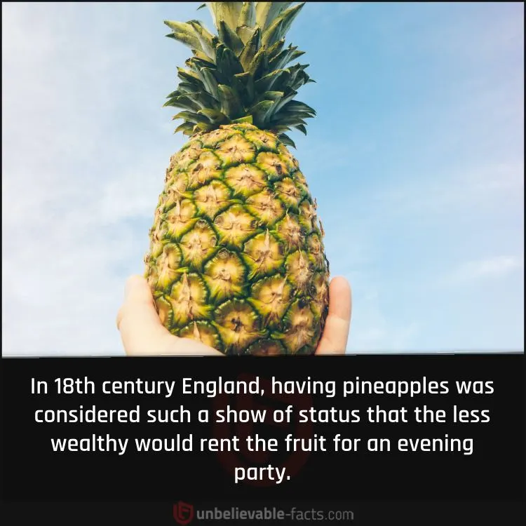 Sudden and Short-lived Royal Status of Pineapples Sudden and Short-lived Royal Status of Pineapples
