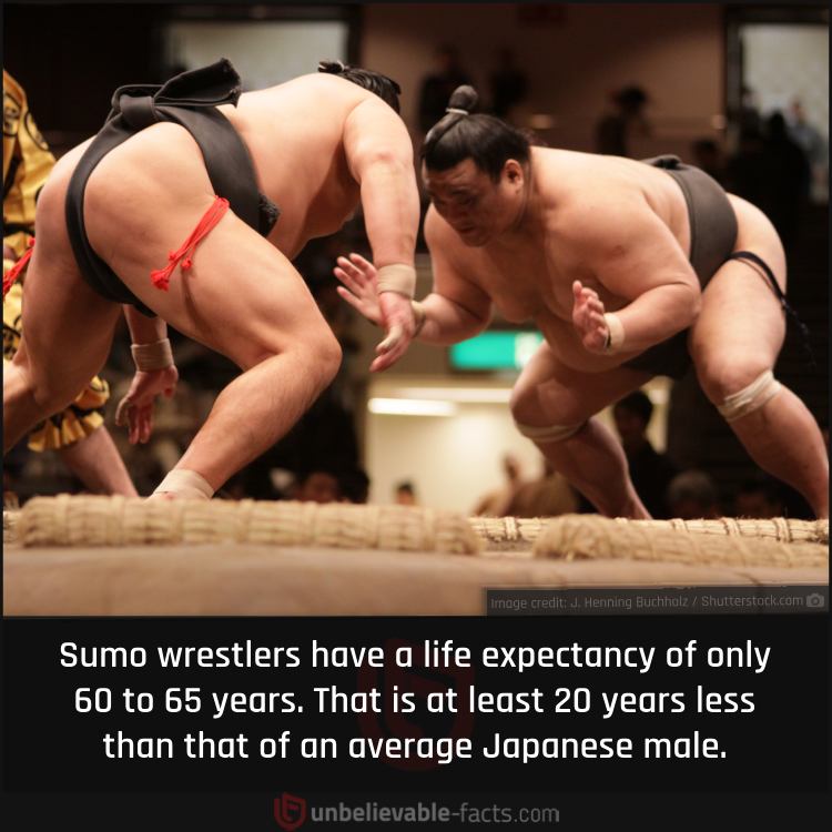 Sumo wrestlers have a life expectancy of only 60 to 65 years