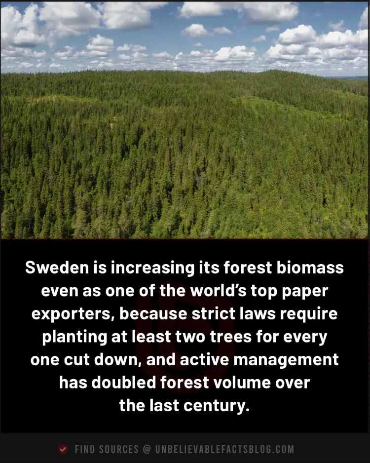Sweden plants two trees per cut, doubling forest biomass.