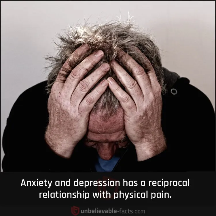 The Connection Between Physical and Mental Pain The Connection Between Physical and Mental Pain