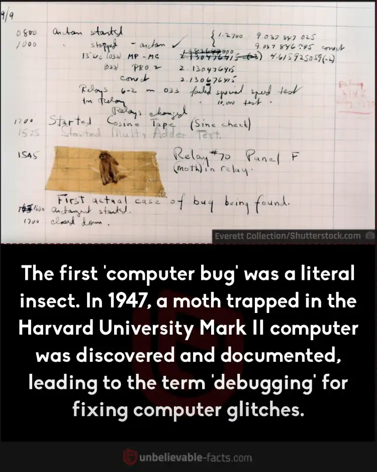 The First 'computer bug'