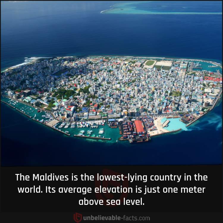 The Maldives’ Elevation