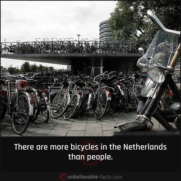 The Netherlands’ Love for Bicycles