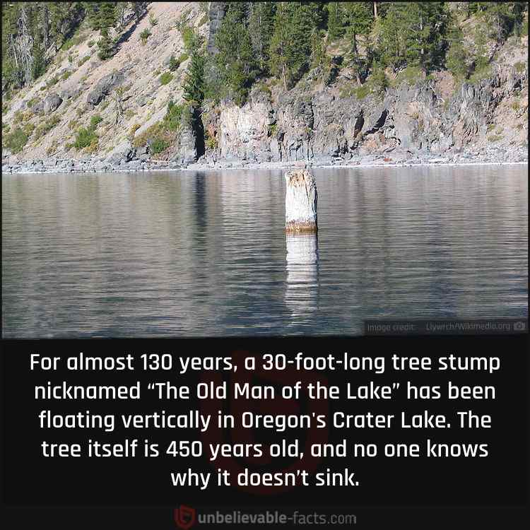 The Old Man of the Lake