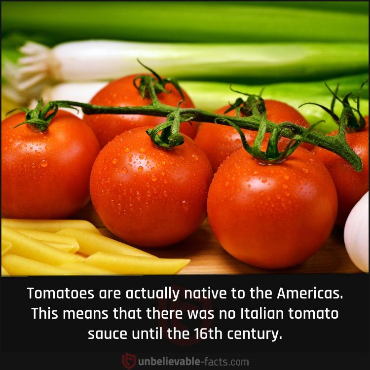The Origins of Tomatoes