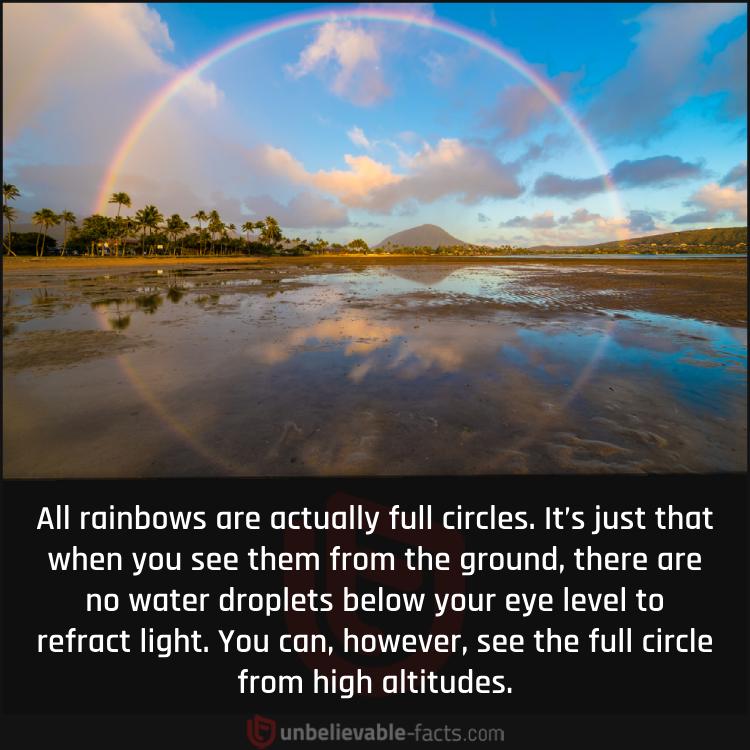 The Real Shape of Rainbows