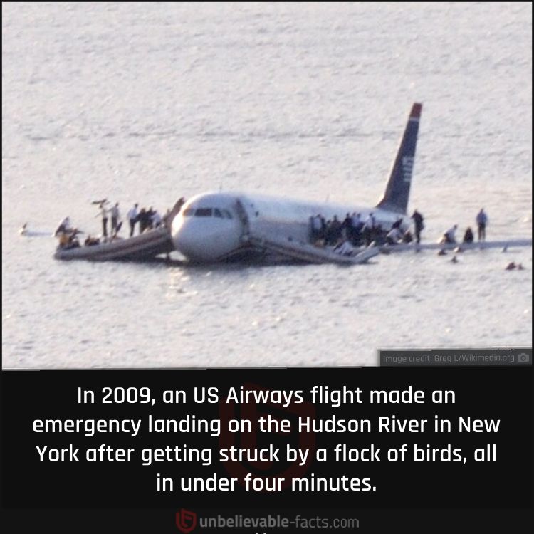 US Airways Flight land on the Hudson