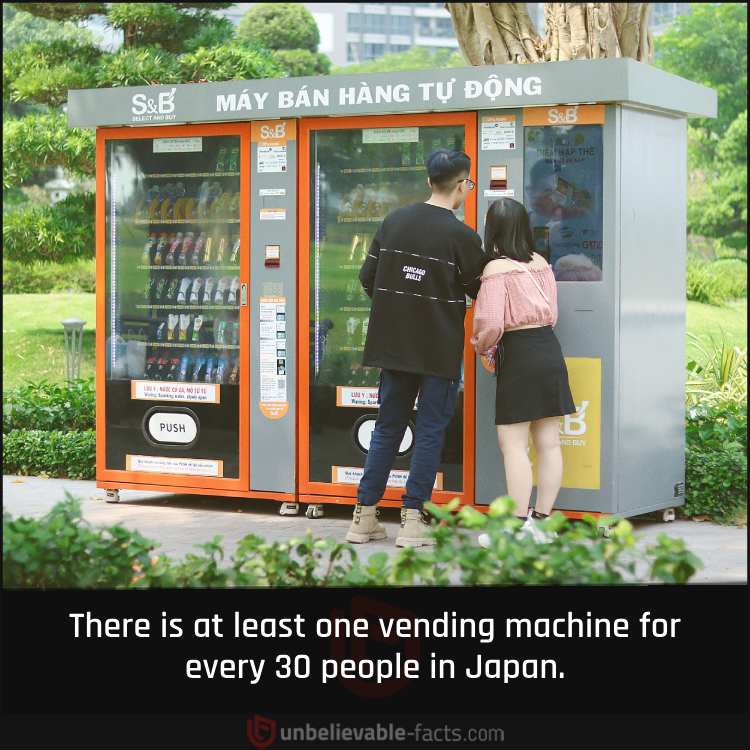 Japan’s Love for Vending Machines 