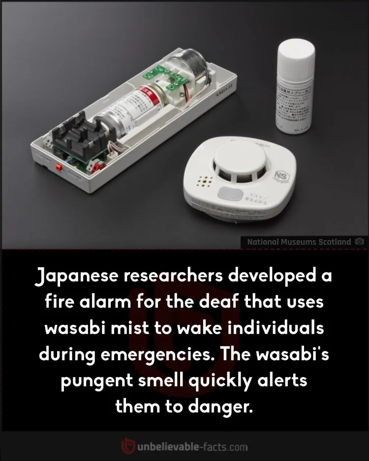 Wasabi mist fire alarm