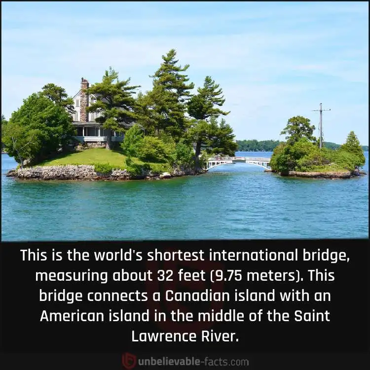World's Shortest International Bridge