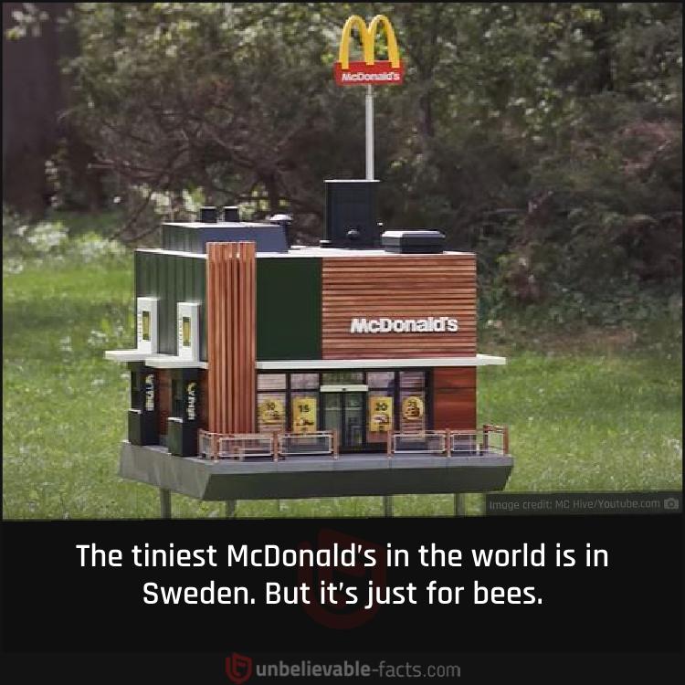 World’s Tiniest McDonald’s