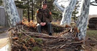 Bald Eagle's gigantic nests