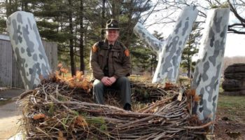 Picture Gigantic Nests of a Bald Eagle can be 9.5ft wide, and up to 20ft deep