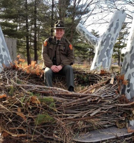 Picture Gigantic Nests of a Bald Eagle can be 9.5ft wide, and up to 20ft deep