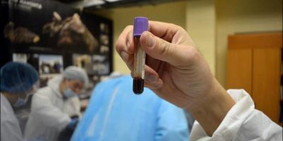 Picture A 42,000-year-old Foal Is the Best-preserved Ice Age Animal in the World!