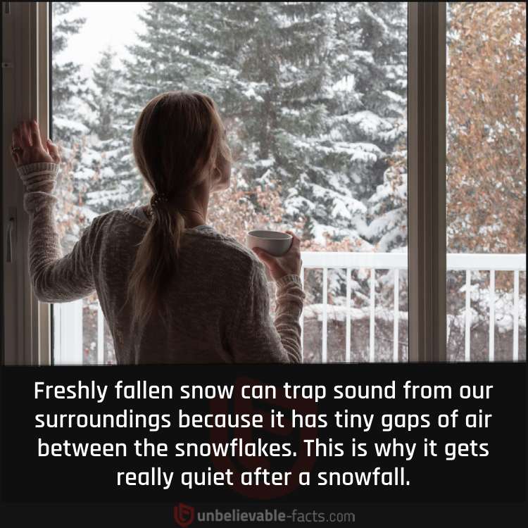 it gets really quiet after a snowfall.